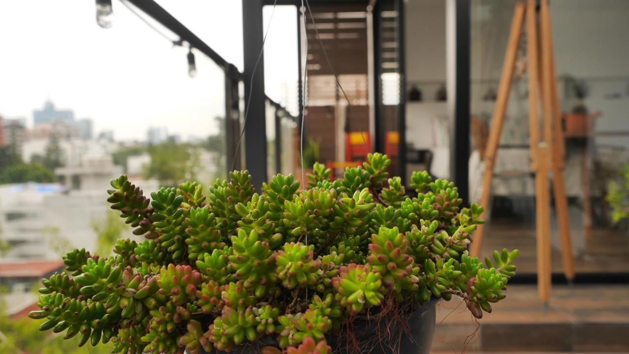 Loft Remedios - Penthouse Cdmx - Areas Comunes Compartidas Mexico Extérieur photo